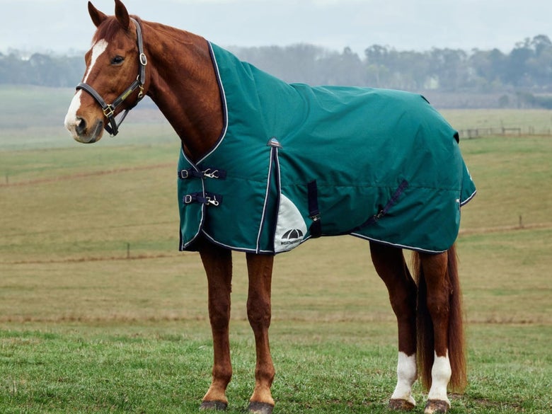 Chestnut horse standing in a field wearing the WeatherBeeta Plus Dynamic HighNeck Blanket.