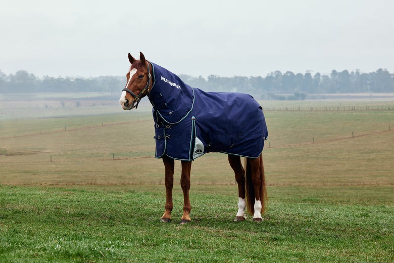 A chestnut horse standing in a field wearing a Weatherbeeta Plus Dynamic Blanket