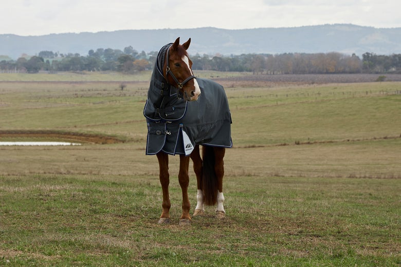 A chestnut horse standing in a field wearing the Weatherbeeta Ultra 1800D Turnout blanket.