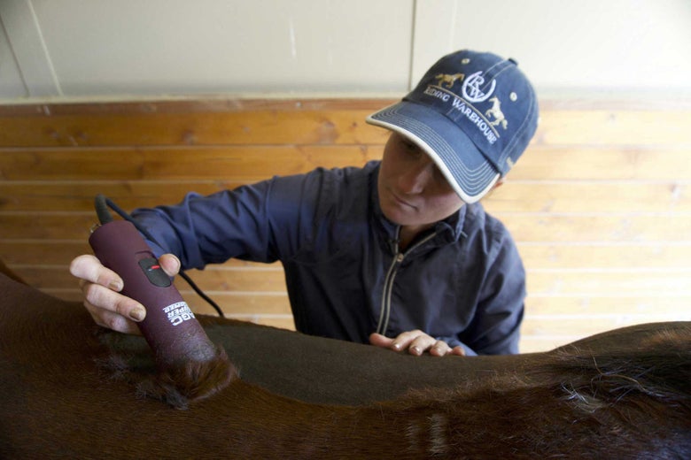 An equestrian using clippers on a horse's back.