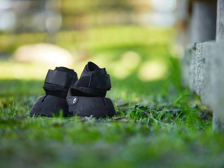 The EasyCare Glove SOFT Hoof Boots sitting in a grassy field next to a wooden fence. 
