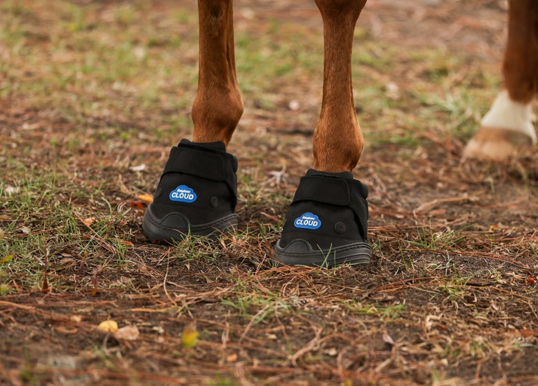 A chestnut horse wearing EasyCare Cloud Hoof Boots