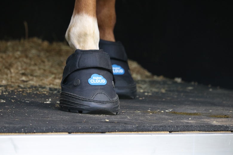 The EasyCare Easyboot Cloud Therapeutic Hoof Boot sitting on a wooden pallet. They are the best hoof boots for trailering. 