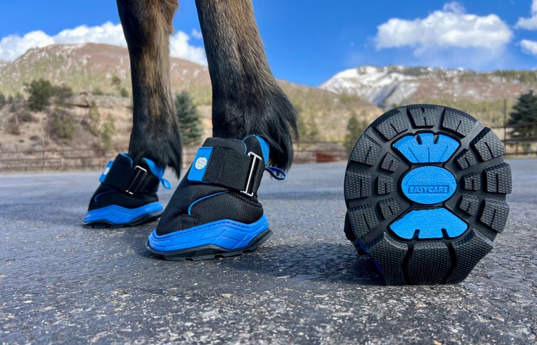 Close up of the EasyCare Easyboot RX2 Therapy Hoof Boot on a dark bay horse in a stall with shavings. They are the best hoof boots for therapy. 
