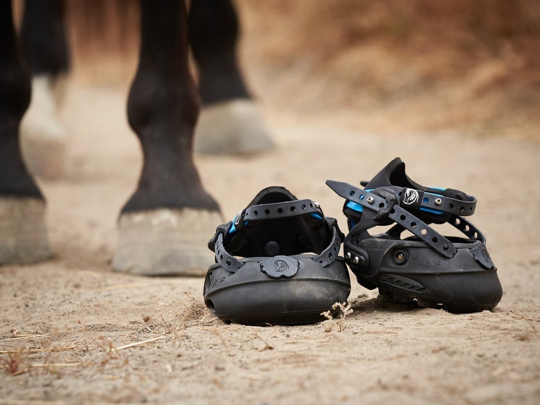 The Explora Magic Hoof Boots sitting on a dirt road next to a dark bay horse's legs and hooves. They are the best hoof boots for trail riding. 