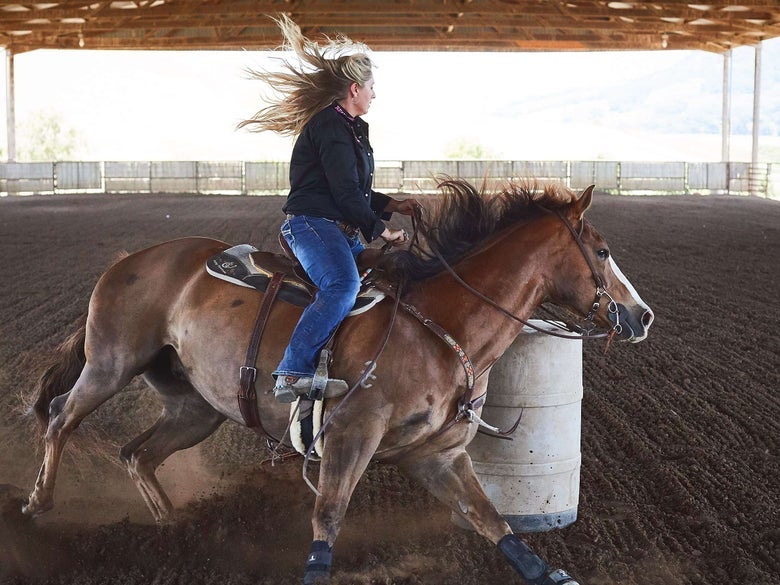 A chestnut horse barrel racing while wearing Sports Medicine Boots