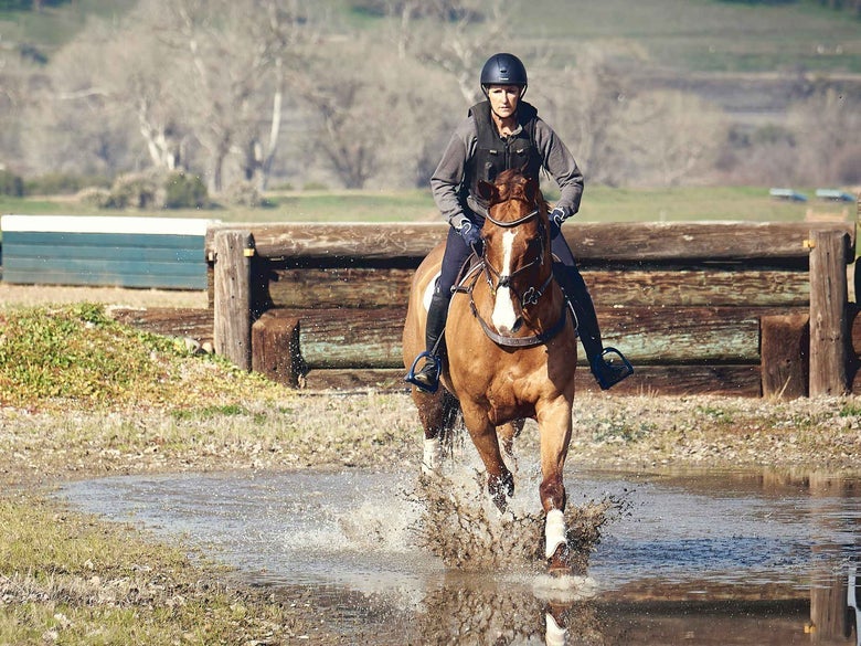 A chestnut horse on a cross country course, wearing the Professional's Choice Cross Country boots.