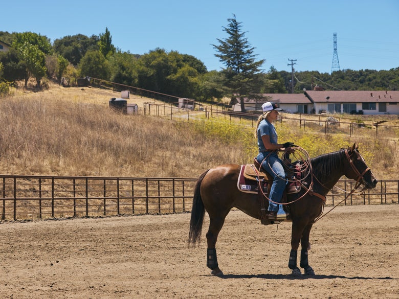 A rider sitting on a bay horse holding the Classic Heat Head Team Rope
