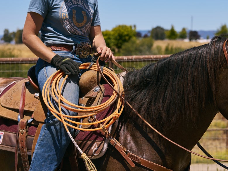 A rider holding the Cactus Fast Back Hombre Head Team Rope while sitting on a bay horse.