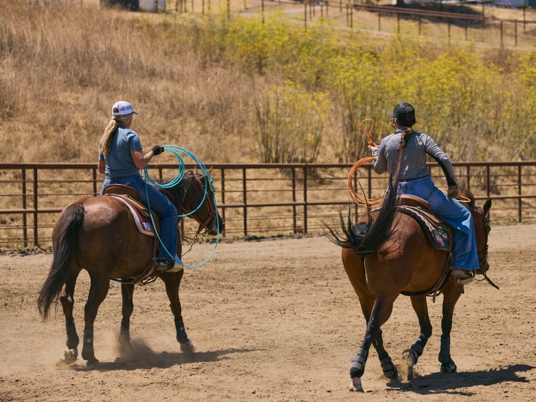 Two riders on bay horses in an arena holding team ropes.