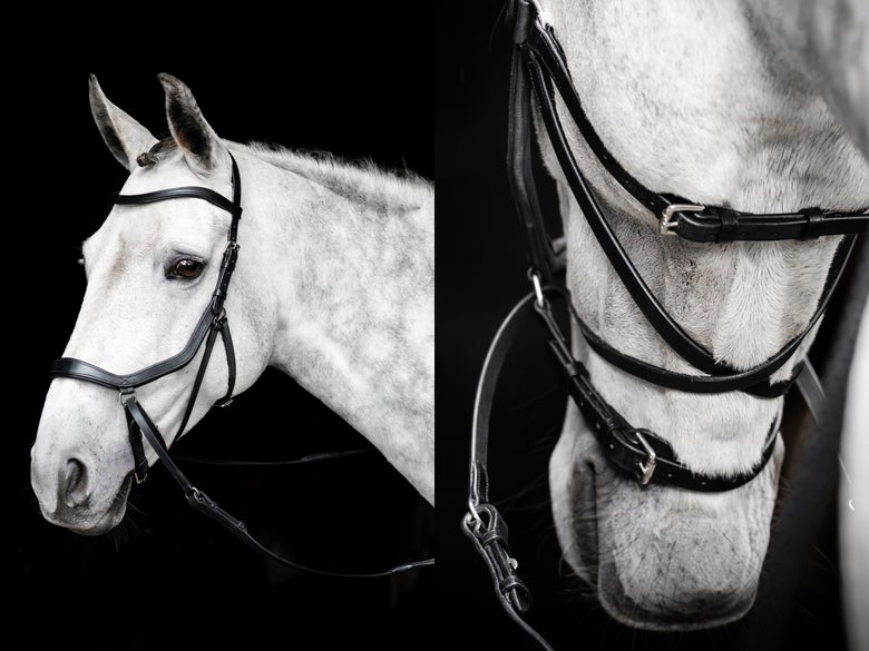 A grey horse wearning the Horseware Micklem Bitless Bridle with a black background.