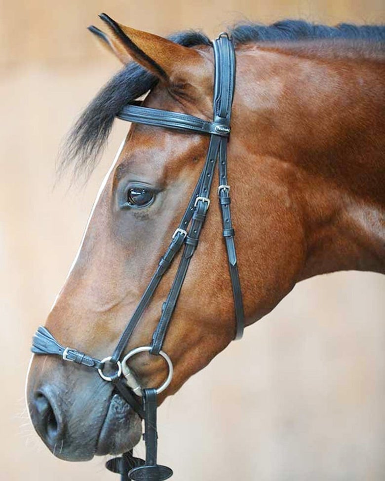 A bay horse wearing the Kavalkade Levana Adjustable Drop Noseband Bridle