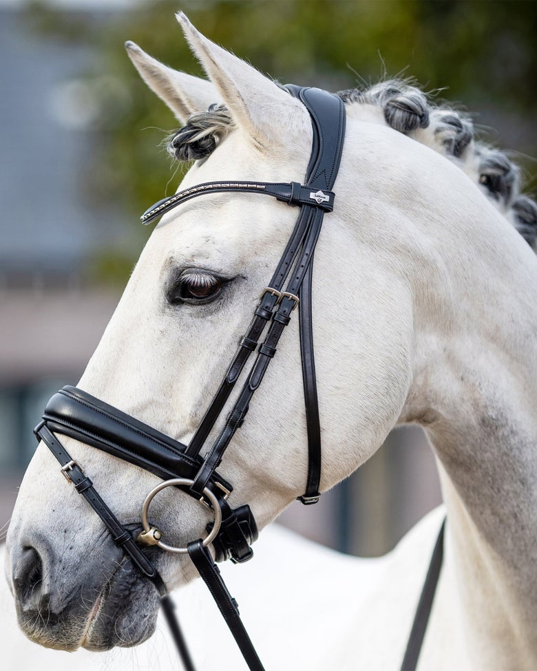 A gray horse wearing the LeMieux Dressage Bridle with a crank noseband.
