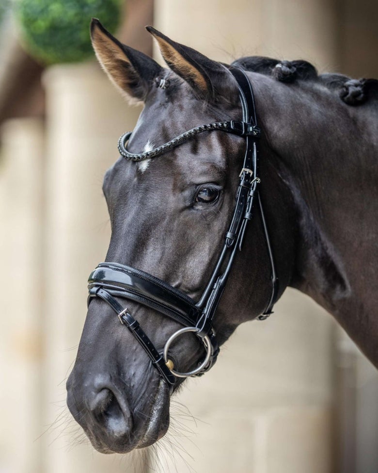 A black horse wearing the LeMieux Kudos Patent Dressage Bridle.