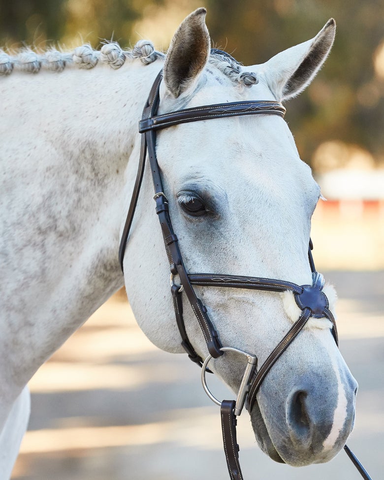 A gray horse wearing the Nunn Finer Stefania Figure 8 or Grackle Noseband Bridle