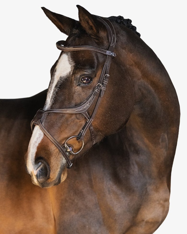 A bay horse wearing the PS of Sweden Athens bridle