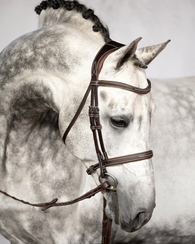 A gray horse wearing the PS of Sweden Ocala Bridle.