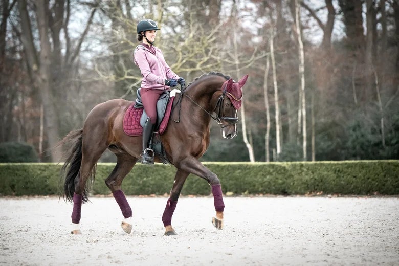 Dressage rider in schooling clothes on horseback, trotting her bay horse in an arena.