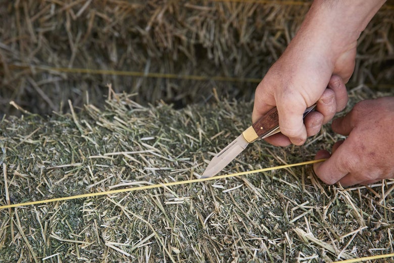 A person opening a hay bale.