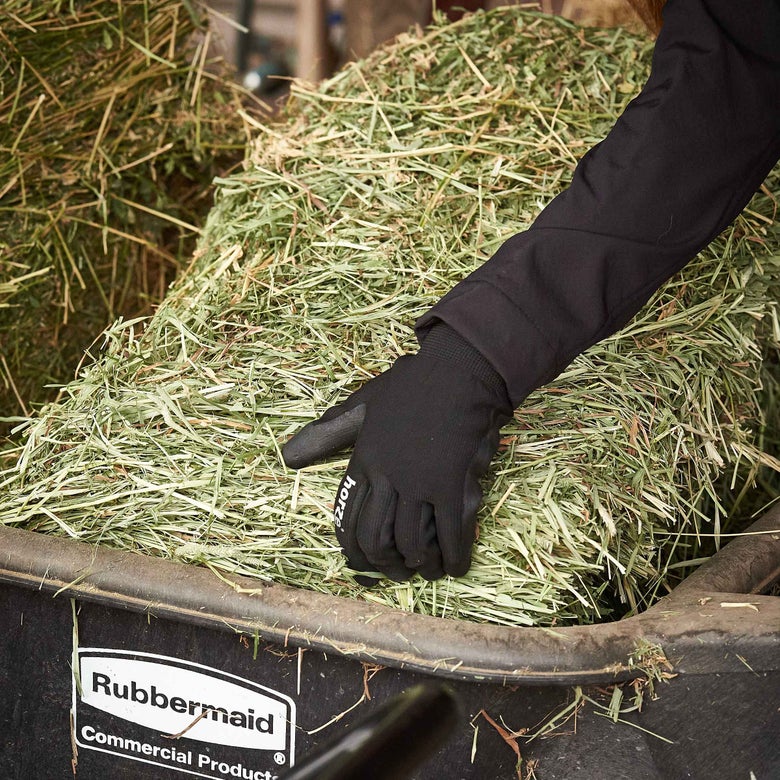 Woman placing hay in a wheelbarrow for transport. 
