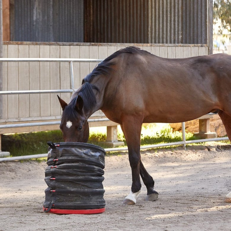 A bay gelding eating out of the Kiwi Helix Feeder.