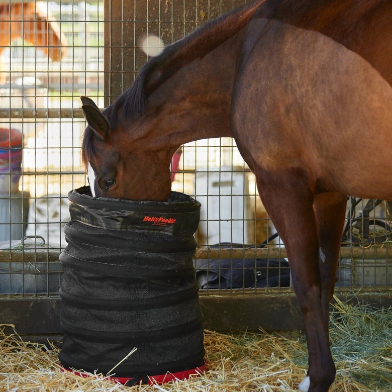 A bay horse eating out of the Kiwi Helix Slow Feeder.