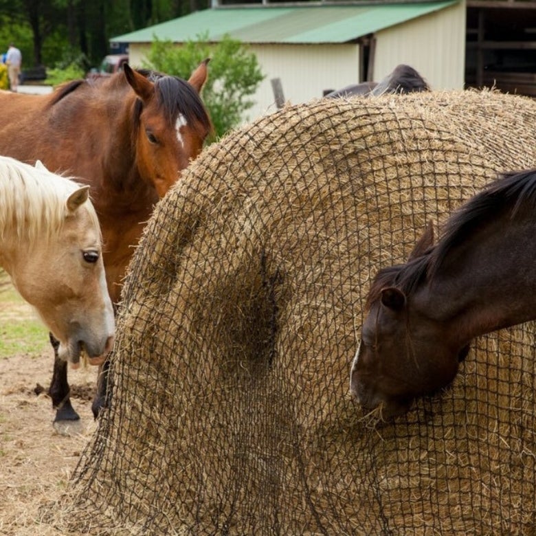 A group of horses eating out of a Texas Round Bale Hay Net.