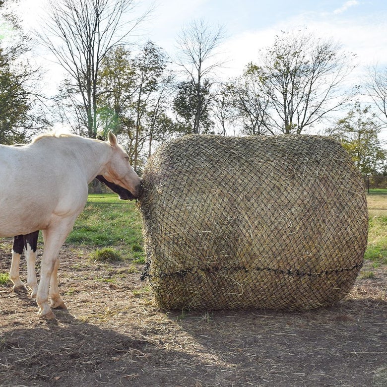 A gray horse eating out of the Tough1 Round Bale Slow Feed Hay Net.