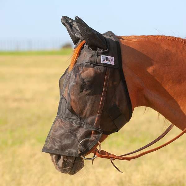 The Cashel Quiet Ride Standard Fly Mask in cheetah on a bridled dun horse. 