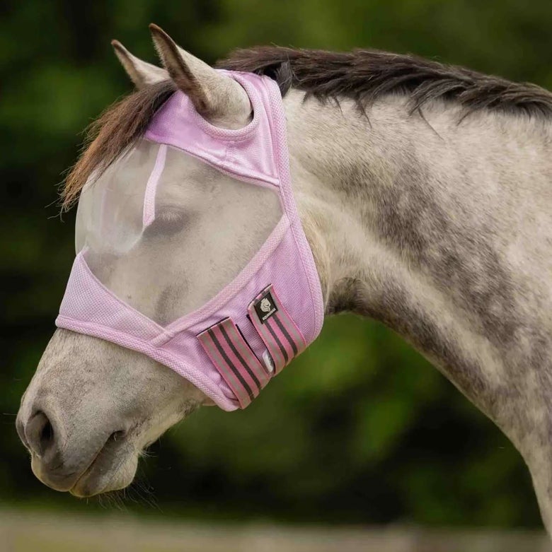 A grey horse wearing the Equinavia Algard Fly mask in pink.