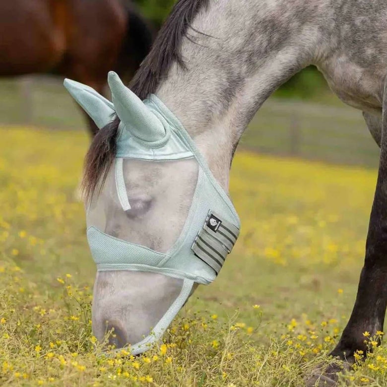 A grey horse in a yellow field wearing the Equinavia Algrad Soft Mesh Long Nose with Ears Fly Mask.
