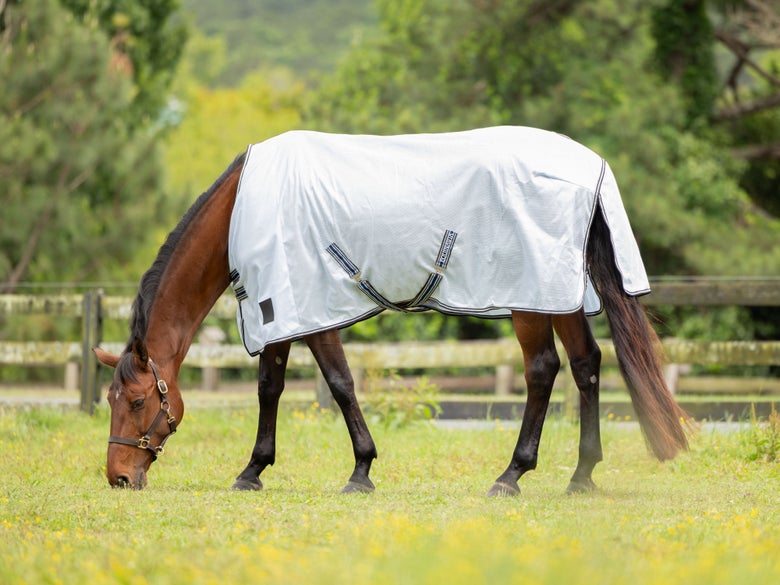 A horse wearing an Equinavia Gard Fly Sheet in a lush green field.