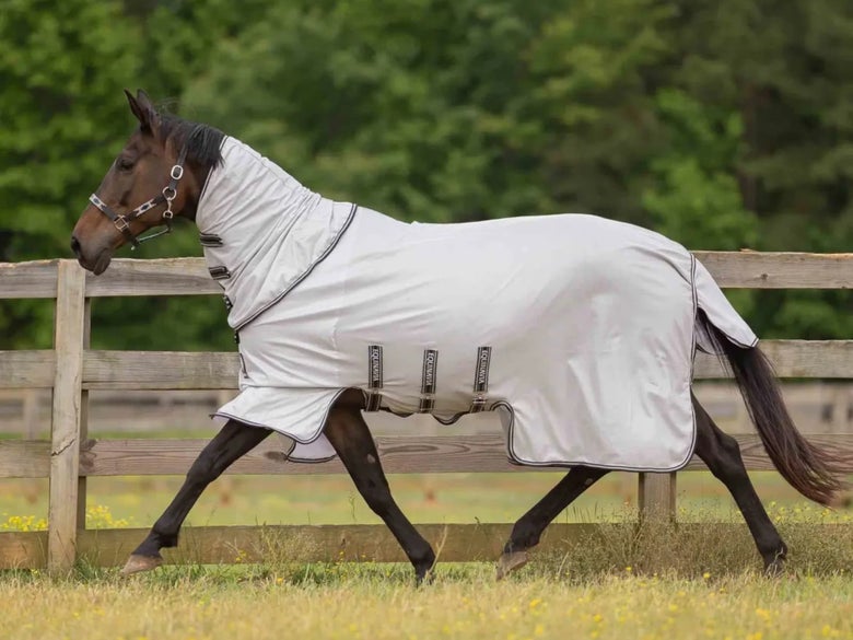 A bay horse trotting in an a field with the Equinavia Vern Fly Sheet.