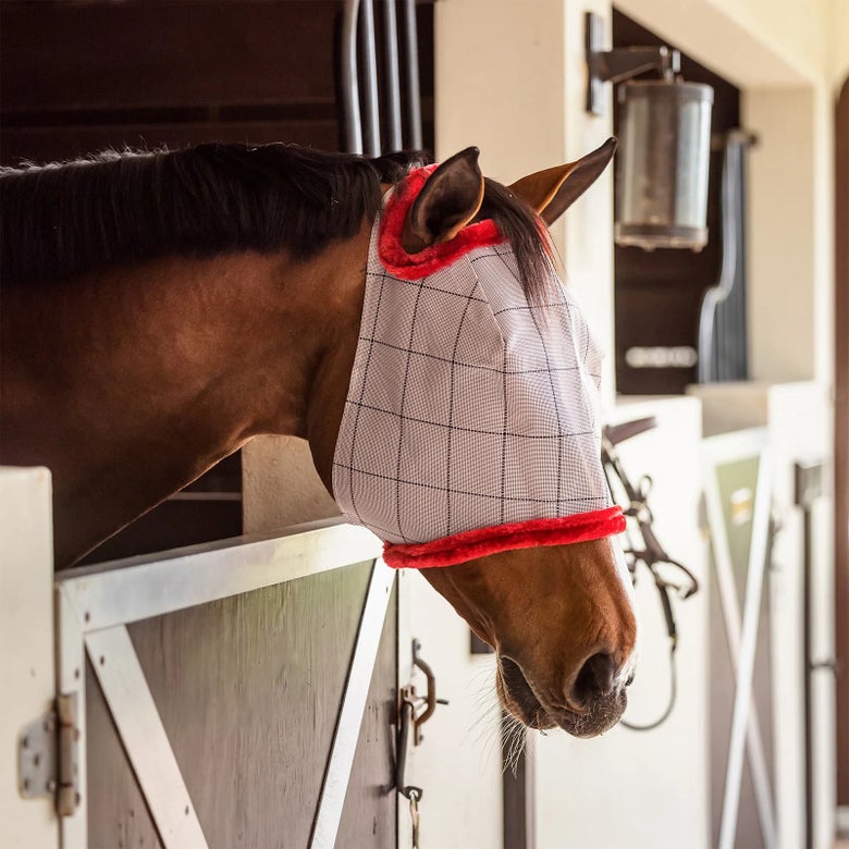 The Farnam SuperMask II Classic Fly Mask on a bay horse in a stall.