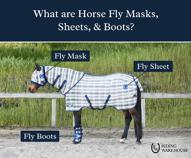 Diagram on types of fly gear for horses