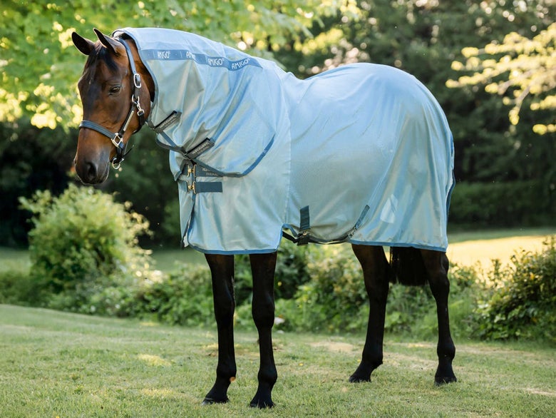 The Horseware Amigo Integrated Fly Sheet in Heather Blue.