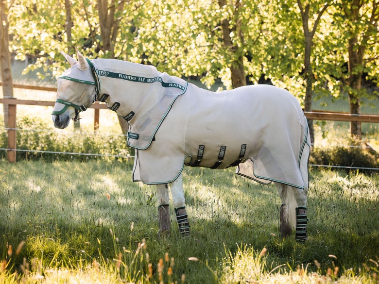 A horse wearing the Horseware Rambo Flybuster Fly Sheet and a Rambo Fly Mask, with a lush green pasture in the background.