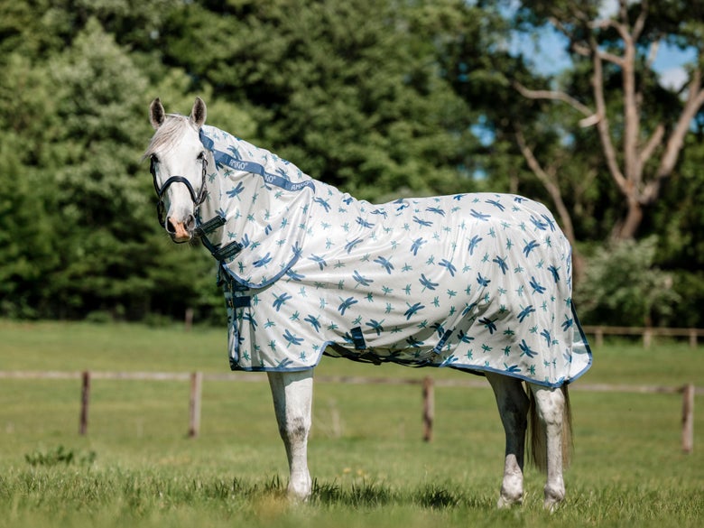 A grey horse in a pasture wearing the horseware integrated fly sheet in the dragonfly pattern.