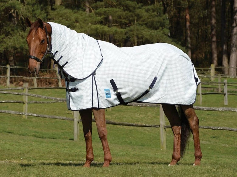 A chestnut horse standing in a field wearing the Kool Coat Combo Fly Sheet.