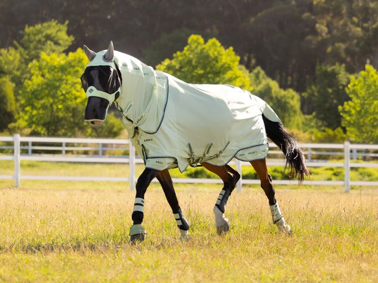 A horse trotting through a yellow field wearing the LeMieux Armour-TEK Fly sheet in the Macaroon color.