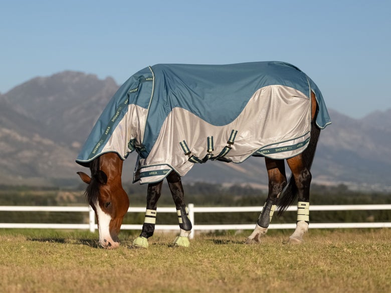 A bay horse in a field wearing the LeMieux Arike Camo Shower-Tek Fly Sheet.