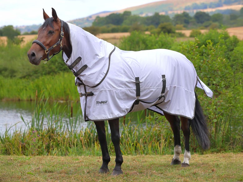 A bay horse in a field wearing the Shires Tempest Original Fly Sheet.