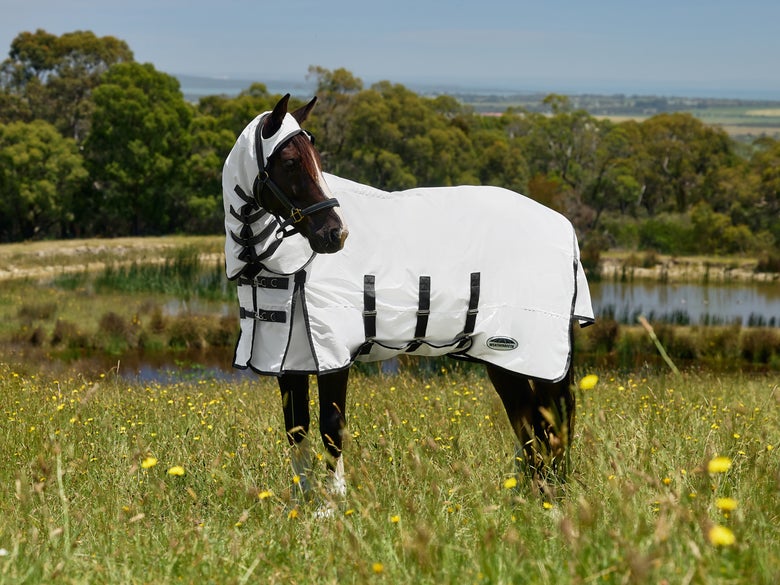 A dark horse in a field wearing the Weatherbeeta Sweet Itch fly sheet.