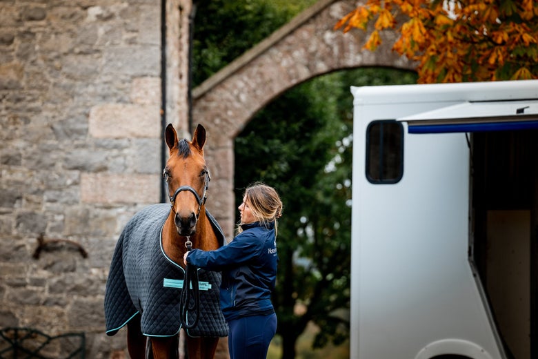 A woman holding a bay horse wearing a blanket outside a horse trailer.