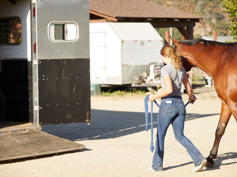 A woman leading a bay horse to a horse trailer with the ramp down.