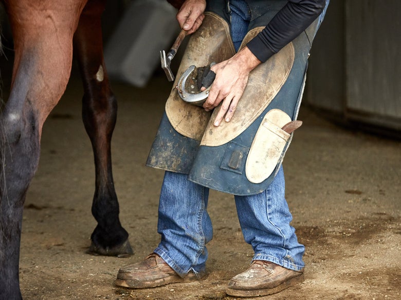 A farrier nailing a shoe back on in a barn aisle.