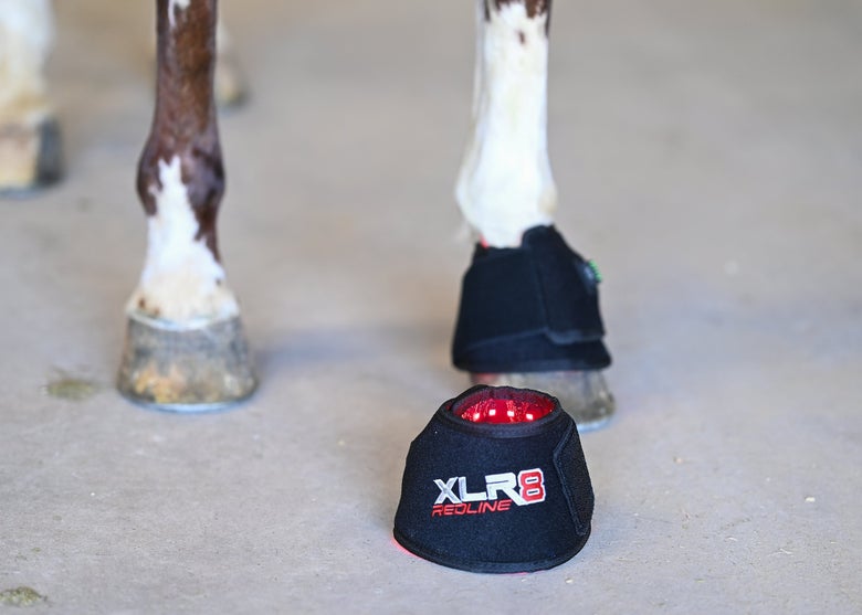 The XLR8 Red Light therapy bell boots in a barn aisle with a horse wearing one in the background.