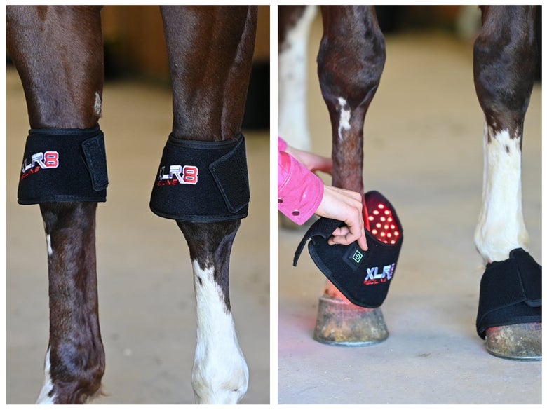 The XLR8 Redline Bell Boots being worn as a bell boot and a knee wrap.