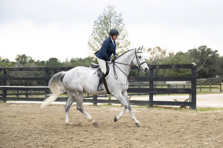 An equestrian riding a gray horse wearing the Affinity by Kerrits Pro Knee Patch Breeches.