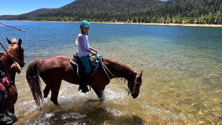 Natalie's daughter Layla riding one of their chestnut saddlebreds, standing in a lake to drink water and cool off. 